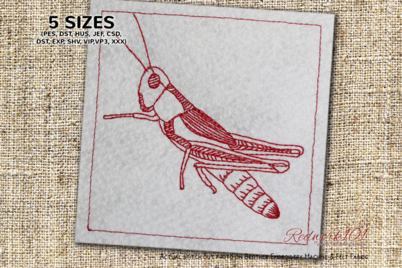 Caelifera Redwork: A Bug-Inspired Embroidery Design Review